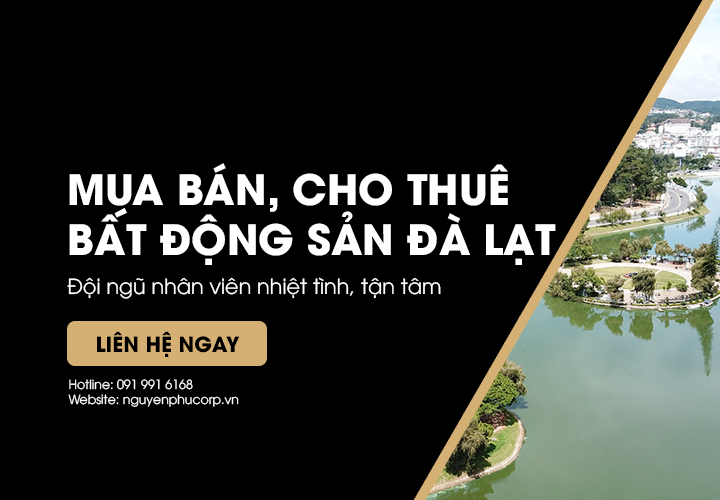 banner-mua-ban-cho-thue-bat-dong-san-Da-Lat-Cong-ty-Nguyen-Phu-Mobile